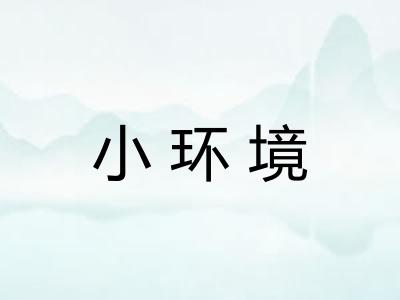 小环境