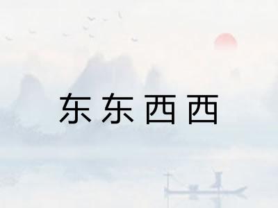 东东西西