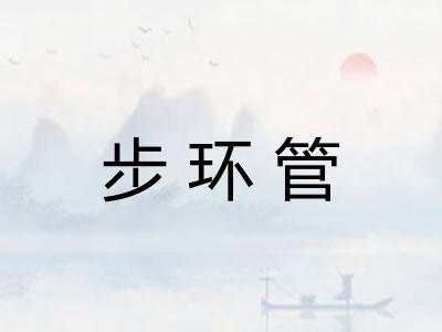 步环管