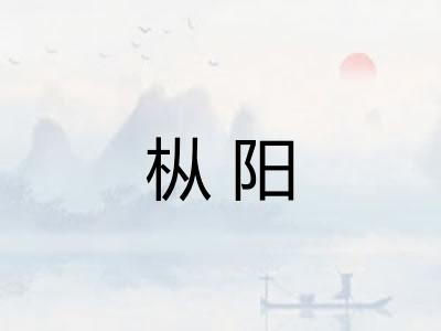 枞阳