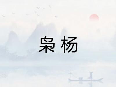 枭杨