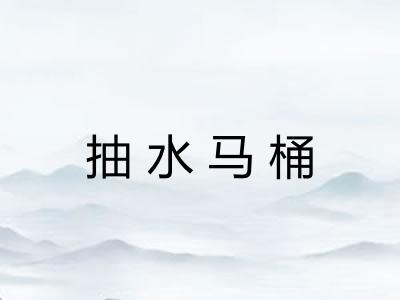 抽水马桶