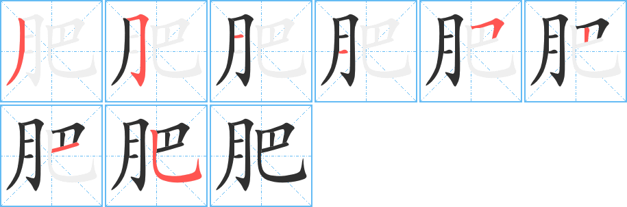 肥的笔顺分步演示图