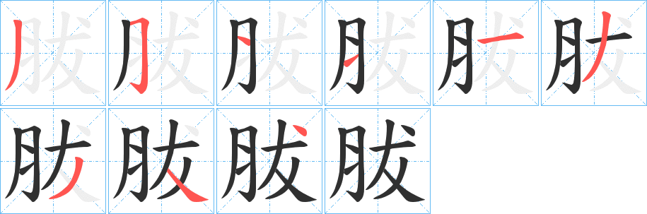 胈的笔顺分步演示图