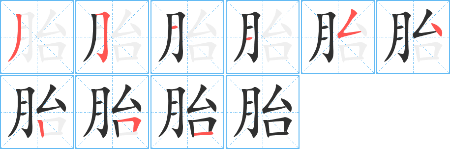 胎的笔顺分步演示图