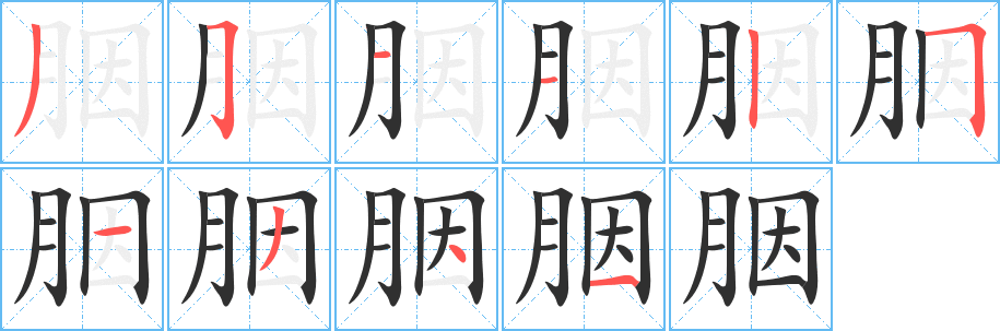 胭的笔顺分步演示图