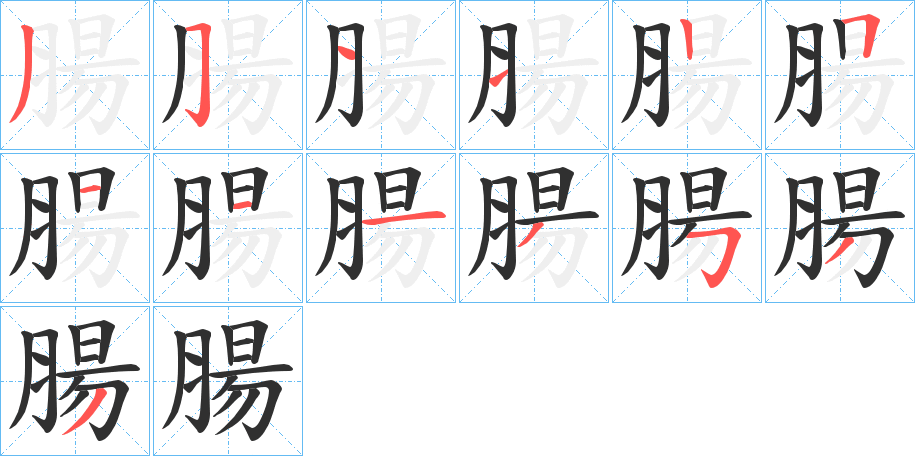 腸的笔顺分步演示图