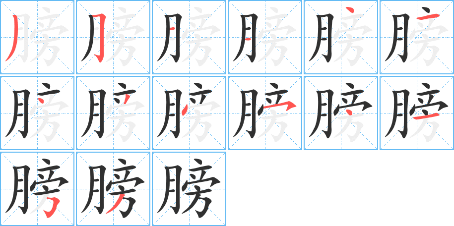 膀的笔顺分步演示图