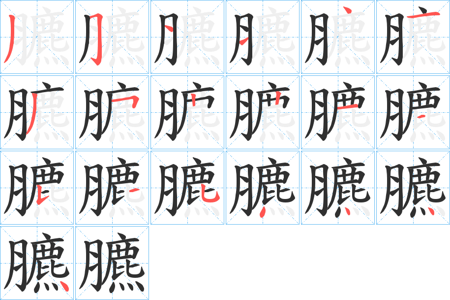 臕的笔顺分步演示图