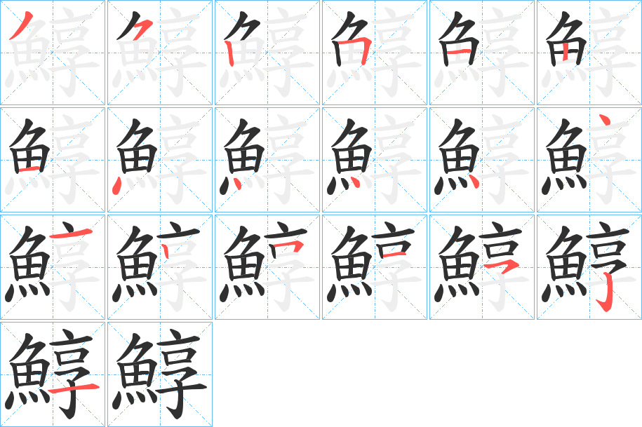 鯙的笔顺分步演示图