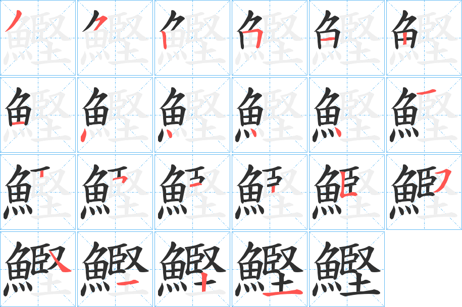 鰹的笔顺分步演示图